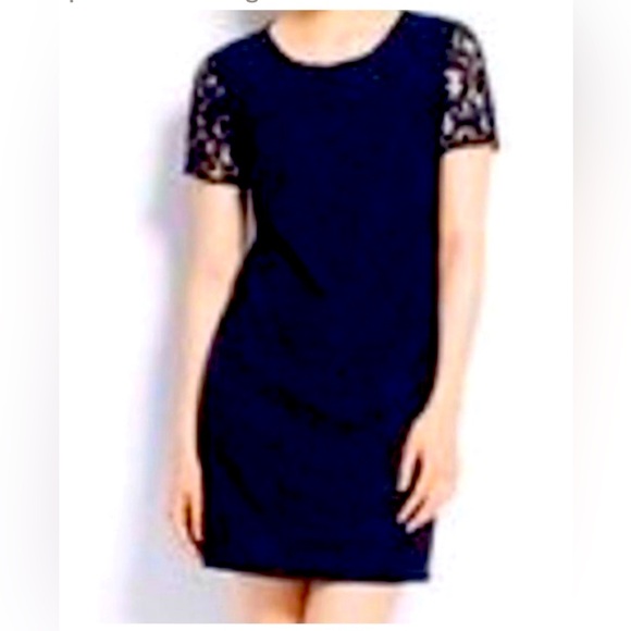 Ann Taylor Navy Blue Lace Dress Size 6 - Picture 1 of 9